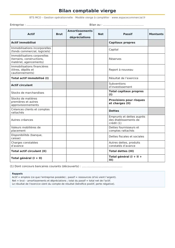 Aperçu du modèle à imprimer : bilan comptable vierge